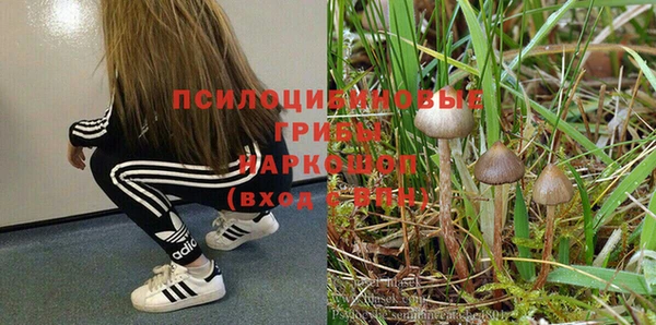 шишки Балахна