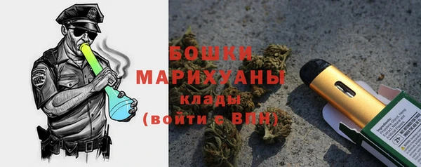 ПСИЛОЦИБИНОВЫЕ ГРИБЫ Балабаново