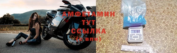 шишки Балахна