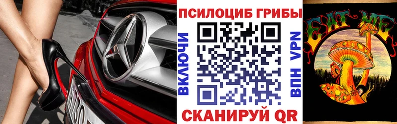 Галлюциногенные грибы прущие грибы  Щёлкино 